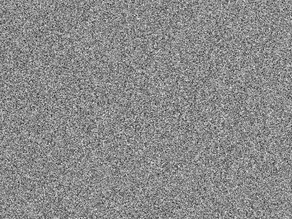 A noise field made of random black and white pixels.